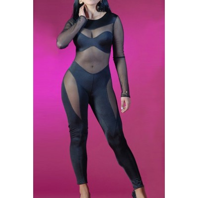 Sexy Women's Jewel Neck Long Sleeve Bodycon Mesh Splicing Jumpsuit black