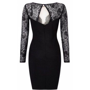 Lace Sequin Embellished Bodycon Party Dress