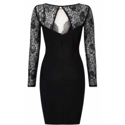 Lace Sequin Embellished Bodycon Party Dress (Lace Sequin Embellished ...