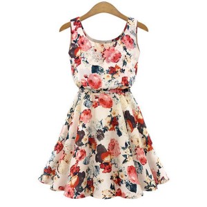 Stylish Scoop Collar Sleeveless Floral Print A-Line Chiffon Dress For Women