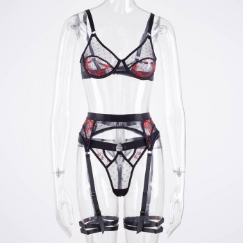 Sexy Lingerie Fancy Women's Underwear See Through Erotic Costumes 3 Piece Bra and Panty Set