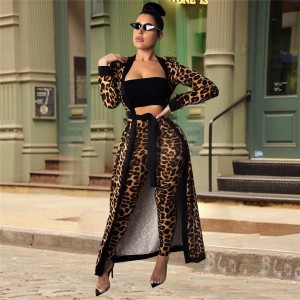 Woman Two Piece Outfit Set Leopard Print Track Suit Women Joggers Suit Sets