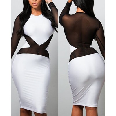 Sexy Round Neck Long Sleeve See-Through Color Block Dress For Women black white