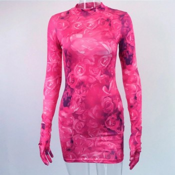High Street Women's Rose Print Mini Dress