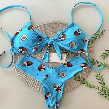 Leopard Print Bikini 2 Piece Set Brazilian Swimwear