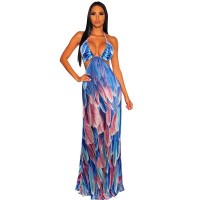 Floral Feather Print Bohemian Maxi Dress for Women - Perfect for Summer Holiday Vacation and Beach